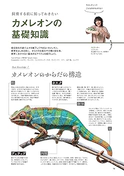 レプファン　05 71Z-QfeLzvL.jpg